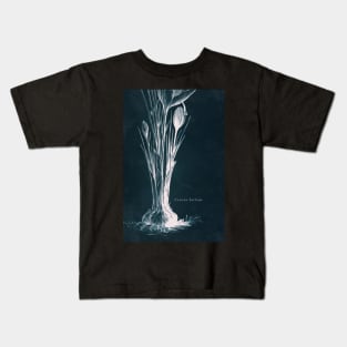 Cyanotype - Crocus Sativus - C Kids T-Shirt